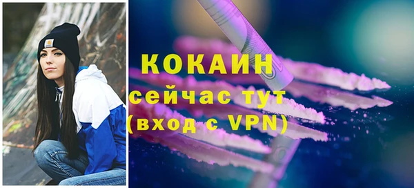 дмт Армянск