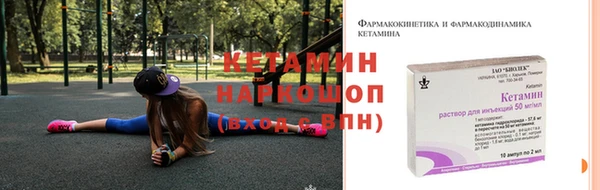 стаф Аркадак