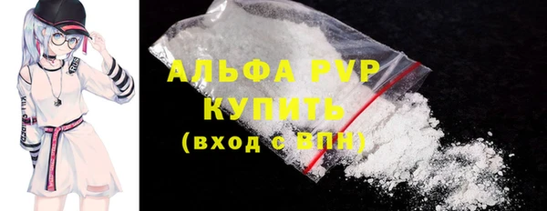стаф Аркадак