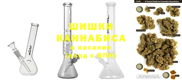 крисы Арсеньев