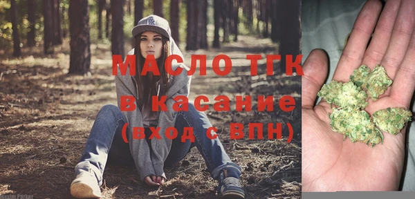 стаф Аркадак