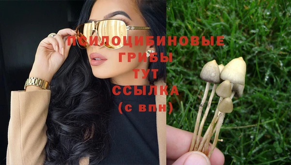 дмт Армянск