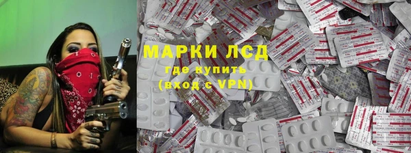 стаф Аркадак