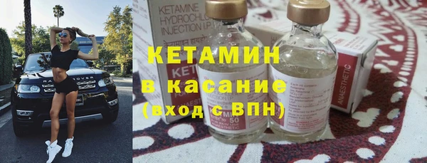 стаф Аркадак
