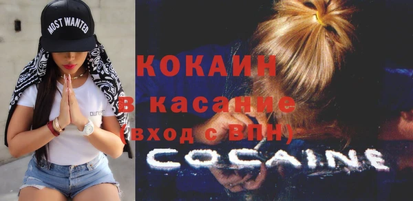 стаф Аркадак
