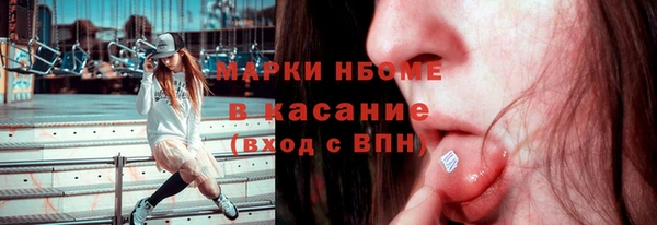 стаф Аркадак